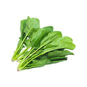 Vegetable